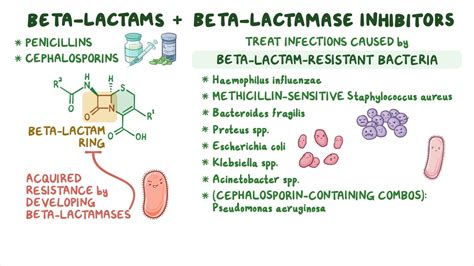 beta lactamase antibiotics|VIM.